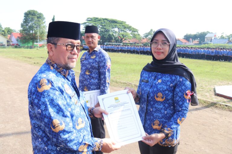 WhatsApp Image 2025-12-17 at 11.08.54