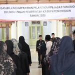 WhatsApp Image 2025-12-31 at 12.51.30