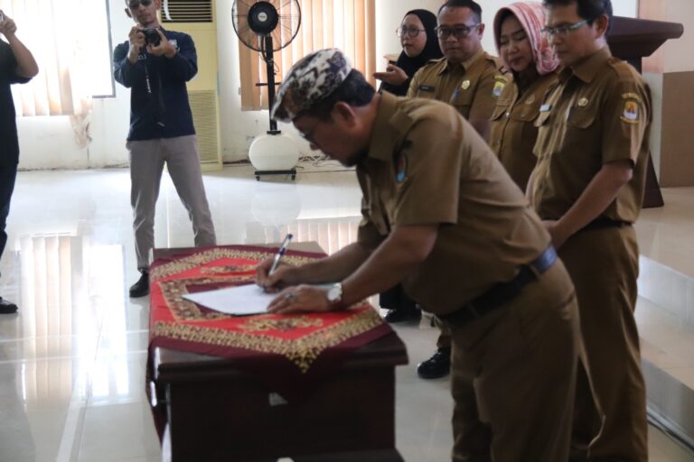 WhatsApp Image 2026-01-06 at 11.03.03