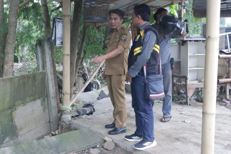 WhatsApp Image 2026-01-06 at 16.28.29